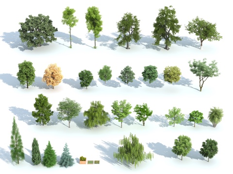  现代植物 景观树 桃树 松树 银杏 棕榈树 热带树3d模型 