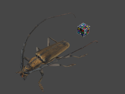  CC0深山天牛山长角甲虫3d模型 