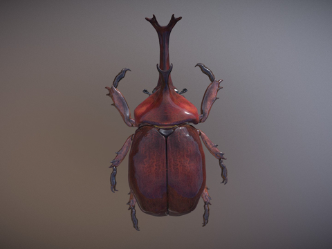  日本双叉犀金龟3d模型 