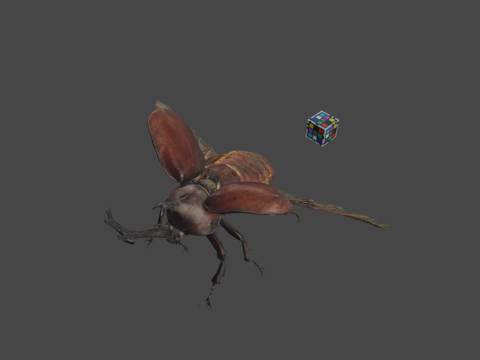  CC0独角仙日本犀金龟3d模型 