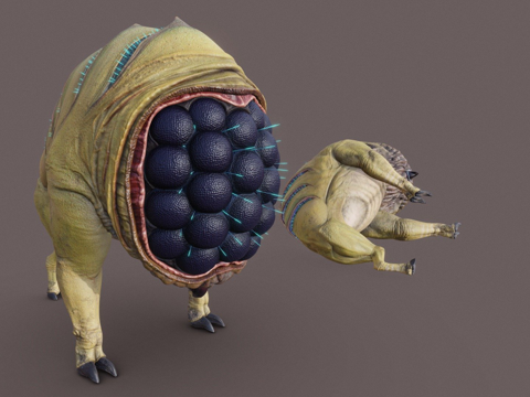  猎犬眼3d模型3d模型 