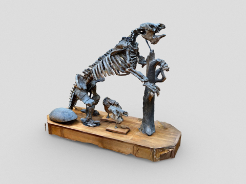  第300天大地懒巨型地懒3d模型 