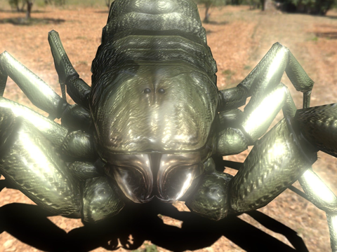  亚利桑那沙漠蝎3d模型 