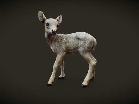  小鹿康复4.03d模型 