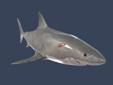  鲨鱼带贴图3d模型 
