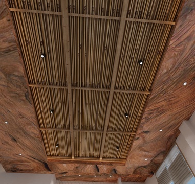  现代天花3d模型 