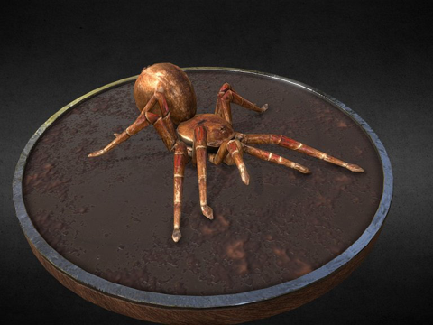  狼蛛金背大狼蛛3d模型 