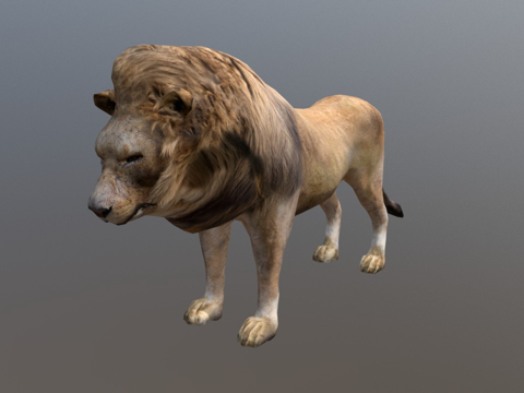  狮子旧版3d模型 