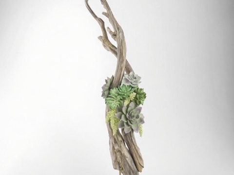 北欧侘寂风枯木多肉摆件 ins风简约桌面装饰 金属底座创意家居装饰品免费3d模型