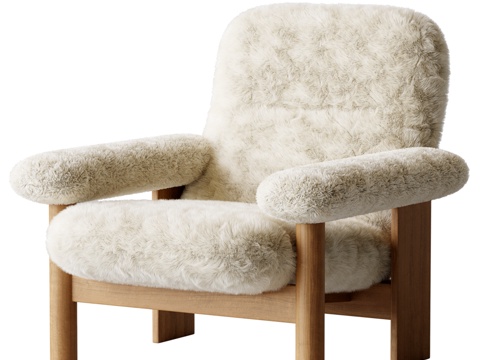  巴西利亚扶手椅3d模型 