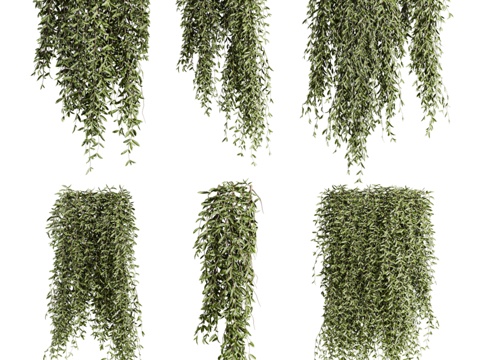  植物套装1203d模型 