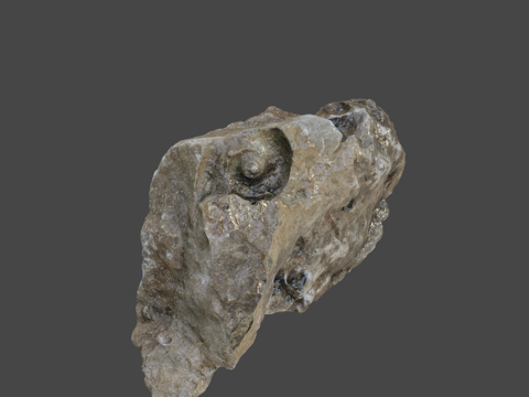  高原石灰岩3d模型 