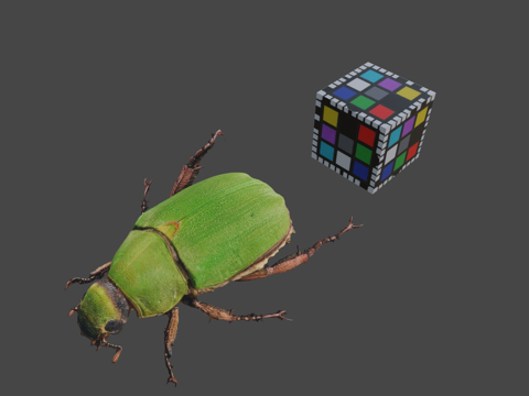  CC0青铜金龟蓝色甲虫A.albopilosa3d模型 