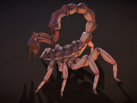  蝎子生物3d模型 