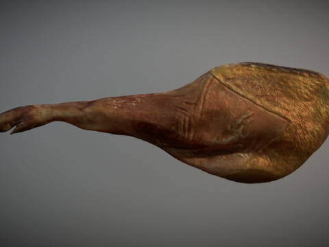  西班牙塞拉诺火腿3d模型 