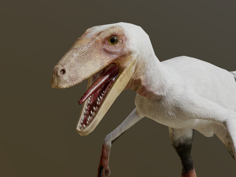  恐爪龙贴图进度3d模型 