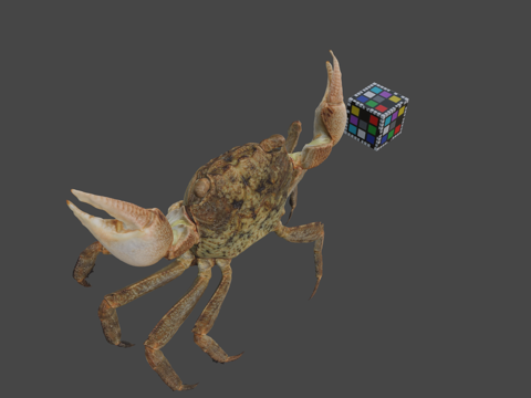  CC0方扁蟹泥滩蟹P.pictum3d模型 