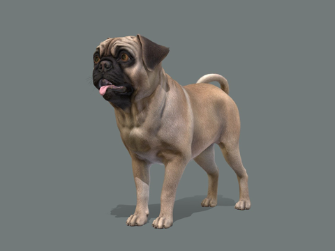  狗哈巴狗v23d模型 