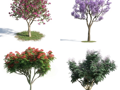  树 大树 高树 园林植物 人工植被 景观树 绿化 植物 树木3d模型 