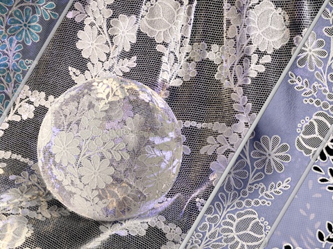  花卉蕾丝与古皮尔刺绣面料（1款图案3d模型 