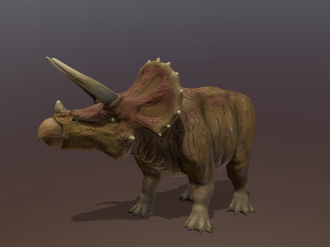  三角龙3d模型 