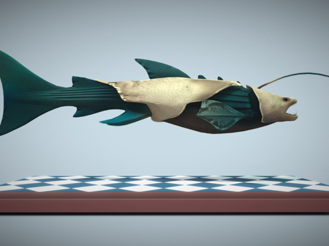  盾皮鱼琵琶鲨3d模型 