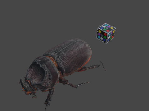  椰子犀金龟3d模型 