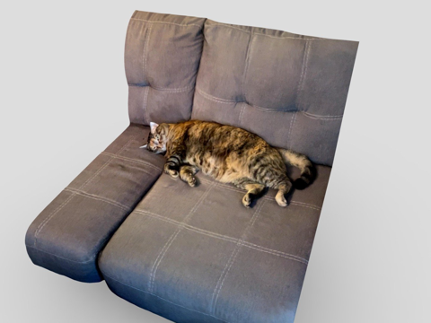  猫咪弗吉尼亚在沙发上打盹3d模型 