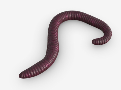  红虫023d模型3d模型 