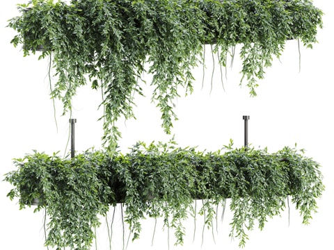  悬挂常春藤墙113d模型 