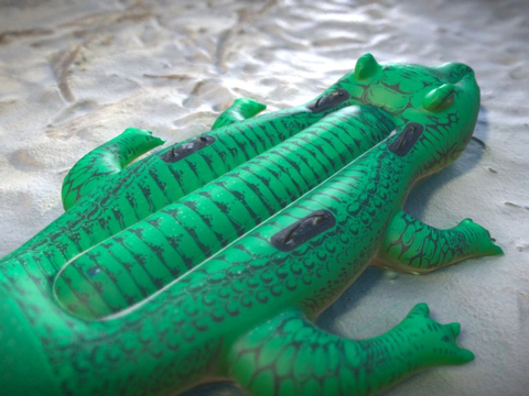  第10天充气鳄鱼3d模型 