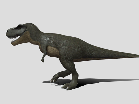  动画霸王龙3d模型 