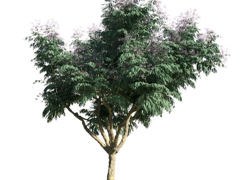  树 花草 植物3d模型 