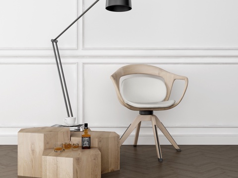  现代休闲椅 边几 落地灯3d模型 