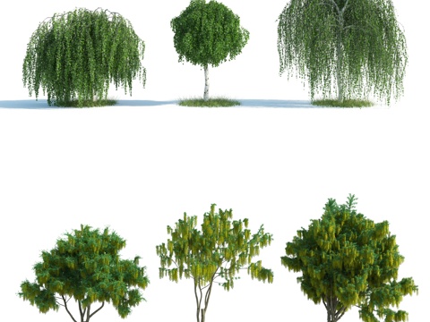  树 树木 植物 园林植物 树苗 人工植物 灌木 植物组合3d模型 