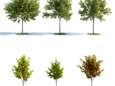  树 树木 植物 园林植物 树苗 人工植物 灌木 植物组合3d模型 