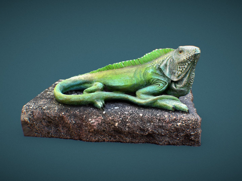  蜥蜴3d模型 
