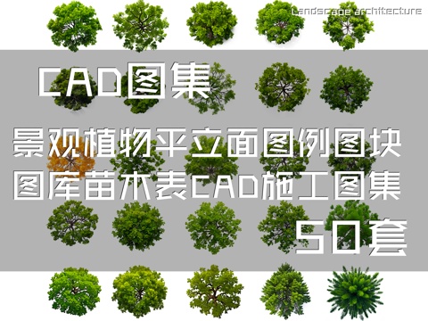 景观植物平立面图例图块图库苗木表CAD施工图集 50套cad施工图