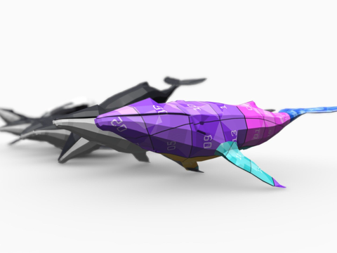  座头鲸3d模型 