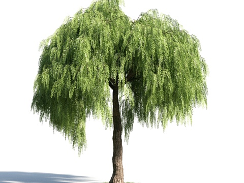  树 花草 植物3d模型 