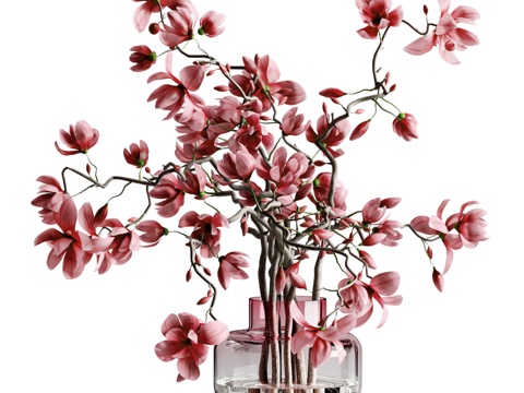  木兰花玻璃花瓶023d模型 