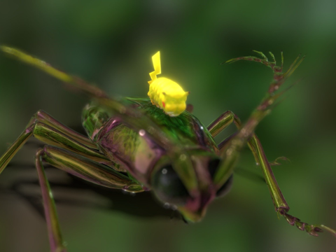  雷甲虫及其幼虫3d模型 