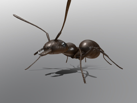  游戏级工蚁3d模型3d模型 