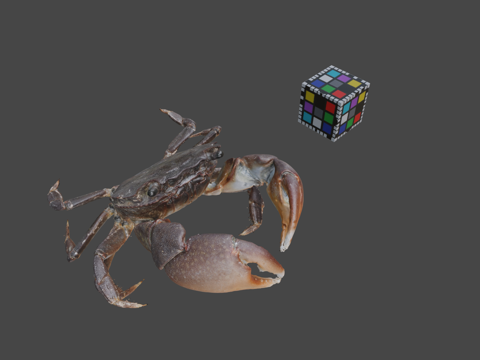  CC0平家蟹岩岸蟹G.depressus3d模型 