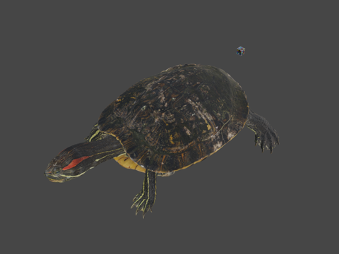  CC0红耳龟3d模型 