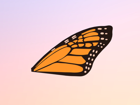  蝴蝶右上翼3d模型 