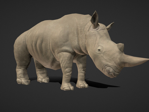  PBR黑犀牛3d模型 
