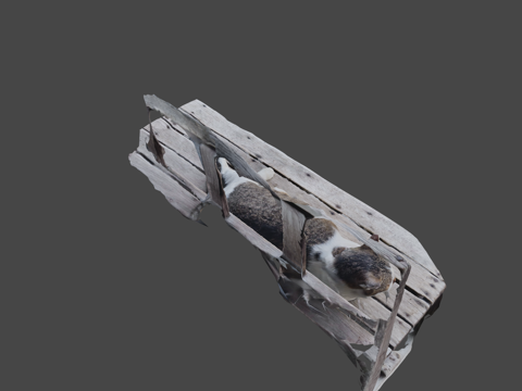  猫三酱iPhoneLiDAR3d模型 