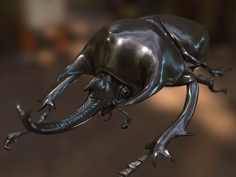  巨犀金龟3d模型 