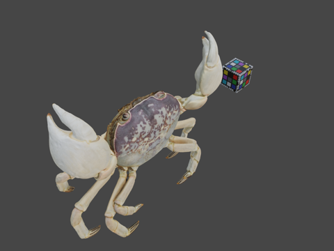  CC0红蟹光滑岸蟹3d模型 